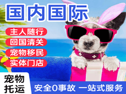 沧源佤山空运代理国际宠物托运 【国